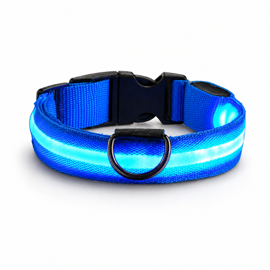 Coleira LED de Segurança para Pets