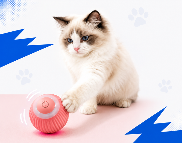 HappyRoll – Interactive Cat Ball